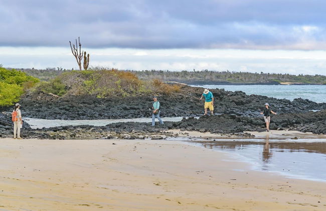 Escursione a Cerro Mesa e Garrapatero - Foto 2