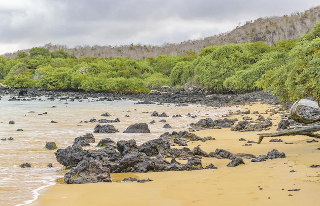 Escursione a Cerro Mesa e Garrapatero - Foto 1