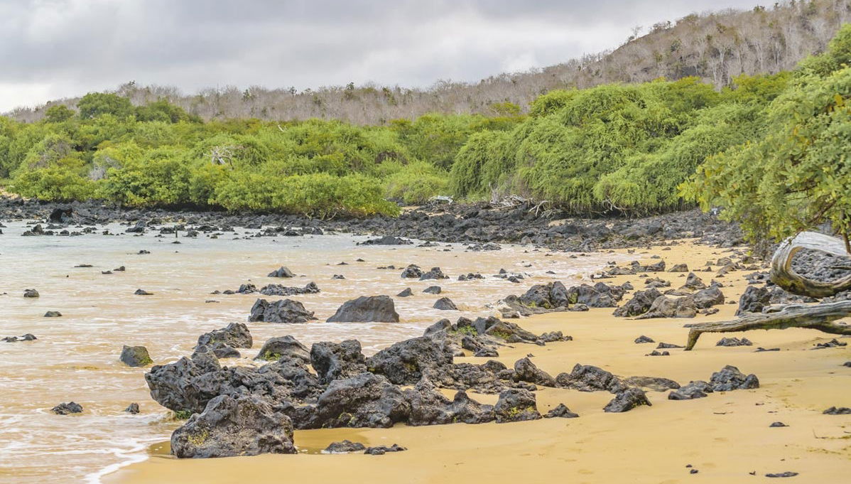 Excursion à Cerro Mesa et Garrapatero - Photo 1
