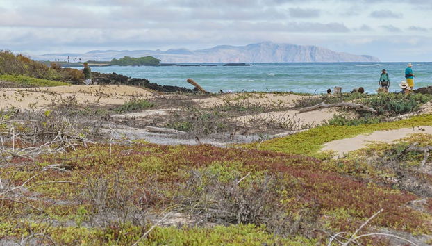 Excursion à Cerro Mesa et Garrapatero - Photo 4