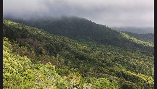 Escursione a Sintra e al suo Parco Naturale in 4x4 - Foto 5