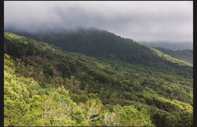 Sintra & Natural Park Jeep Tour - Foto 5