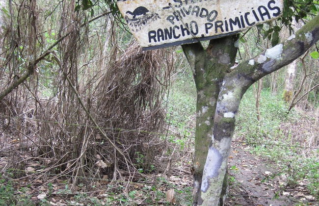 Tour por la parte alta de la Isla Santa Cruz - Foto 2