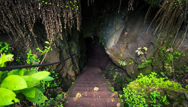 Visite des hauteurs de l'île de Santa Cruz - Photo 4