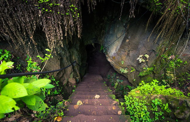 Tour of the Santa Cruz Highlands - Foto 4