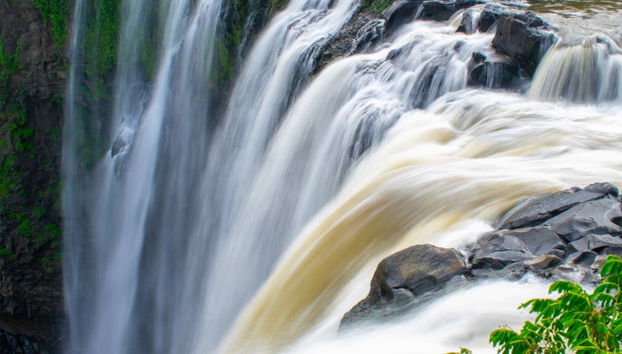 Excursão a Los Tuxtlas e Catemaco - Foto 5