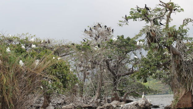 Excursão a Los Tuxtlas e Catemaco - Foto 4