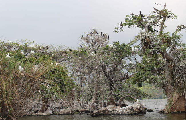 Tuxtlas and Catemaco Trip - Foto 4