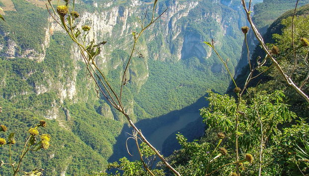 Punti panoramici del Canyon del Sumidero, Zoomat e Cristo di Chiapas - Foto 2