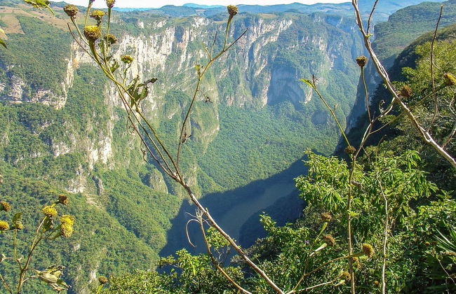Sumidero Canyon & Cristo de Chiapas Viewpoints + Zoomat Tour - Foto 2