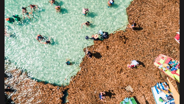 Excursion à Porto de Galinhas - Photo 5