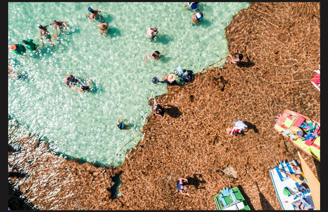 Excursion à Porto de Galinhas - Photo 5
