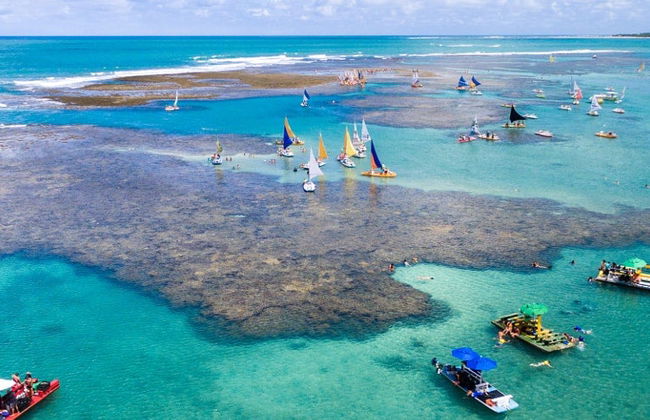 Excursión a Porto de Galinhas - Foto 6
