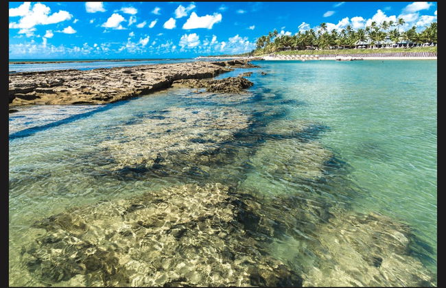 Porto de Galinhas Day Trip - Foto 1