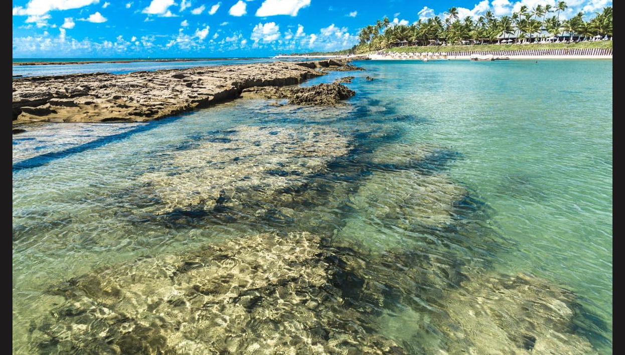 Porto de Galinhas Day Trip - Foto 1