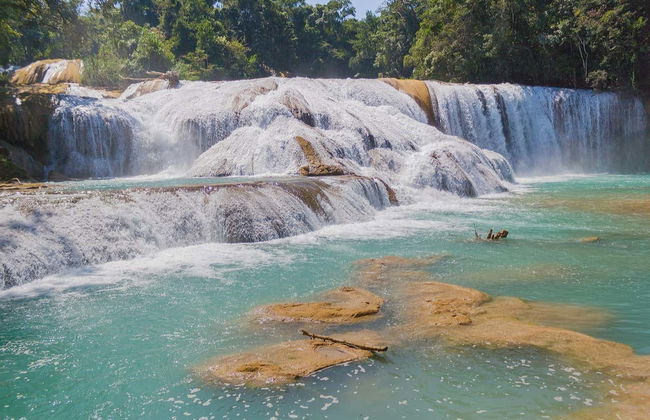 Excursión a las lagunas de Montebello + Cascada El Chiflón - Foto 4