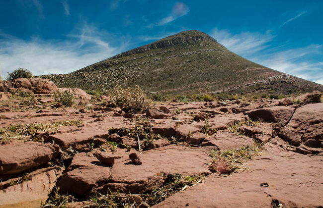 Excursión a La Quiaca y Yavi - Foto 5