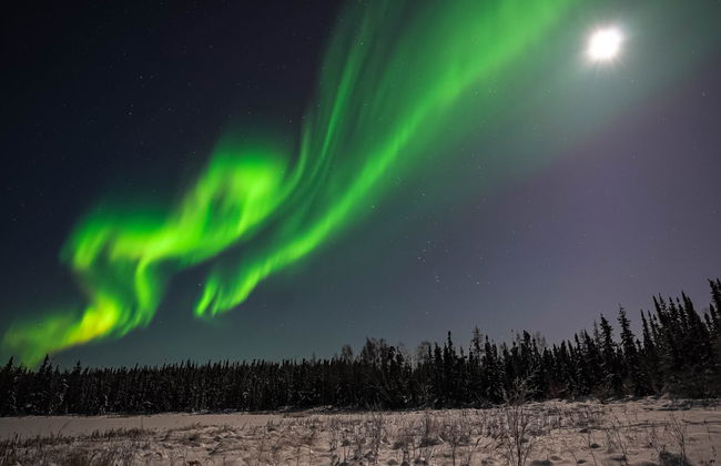 Tour de la aurora boreal - Foto 7