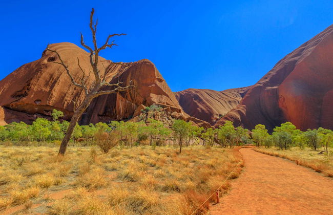 Location de vélo à Uluru-Kata Tjuta - Photo 1