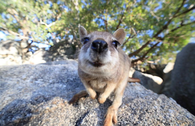 Outback & Chillagoe Day Trip - Photo 1