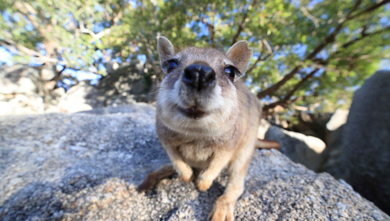Excursion à l'Outback et à Chillagoe - Photo 1