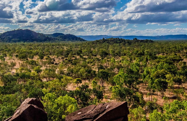 Excursão ao Outback e Chillagoe - Foto 2