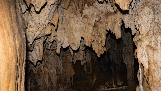 Excursion à l'Outback et à Chillagoe - Photo 2