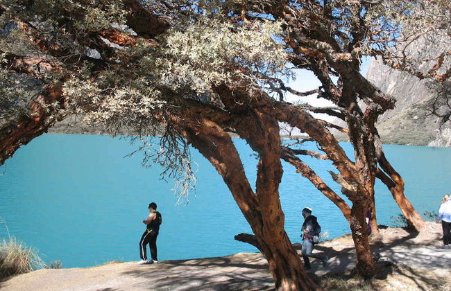 Excursión a las lagunas de Llanganuco - Foto 2