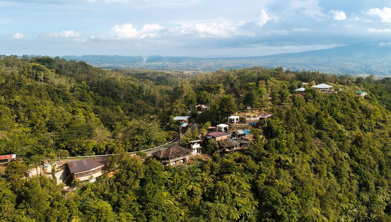 Private Day Trip to Salvador Benedicto - Photo 1