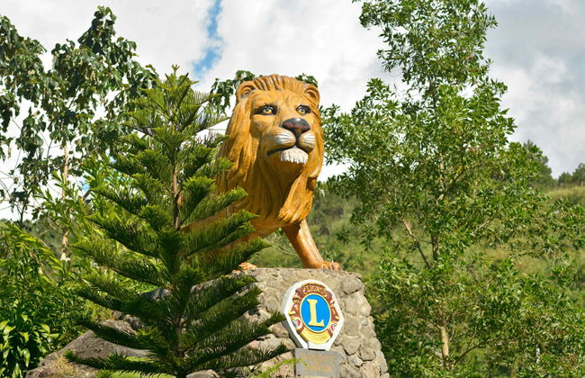 Excursión privada a Salvador Benedicto - Foto 3