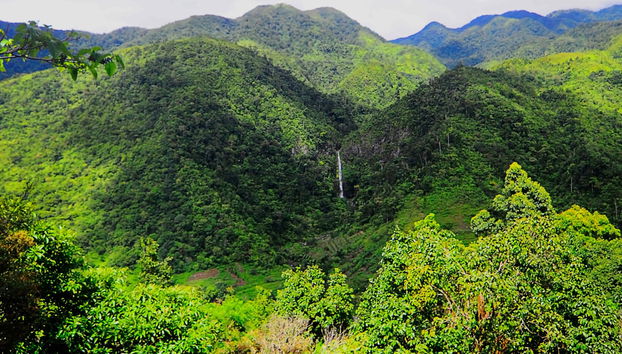 Private Day Trip to Salvador Benedicto - Photo 5