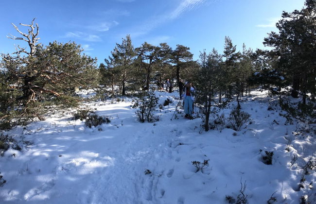 Paseo con raquetas de nieve + Construcción de un iglú - Photo 2