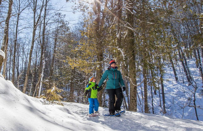 Paseo con raquetas de nieve + Construcción de un iglú - Photo 7