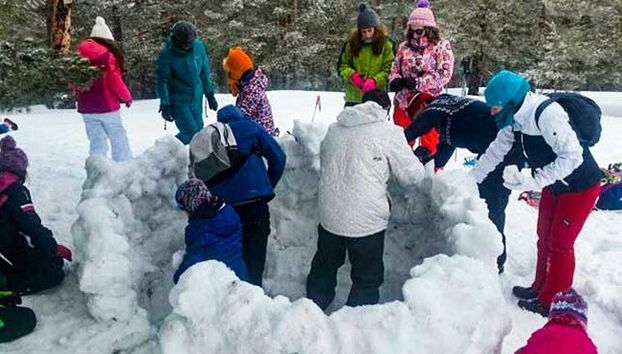 Passeio com raquetes de neve + Construção de iglu - Foto 2