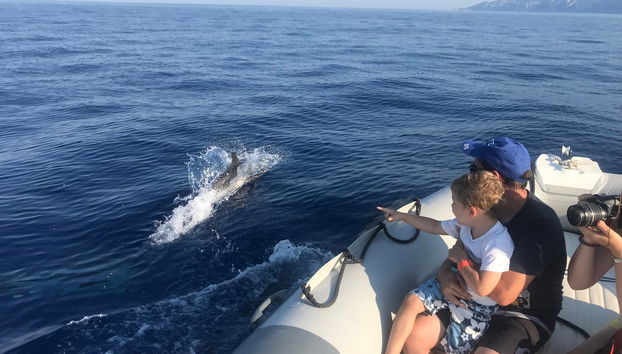 Excursión en lancha por el golfo de Orosei - Foto 3