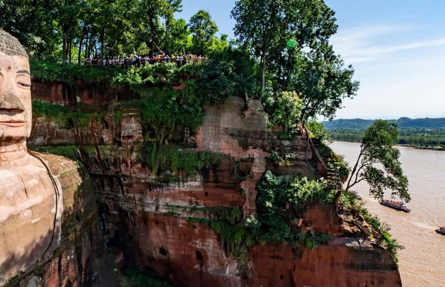 Private Day Trip to the Leshan Giant Buddha & Chengdu Panda Base - Photo 8