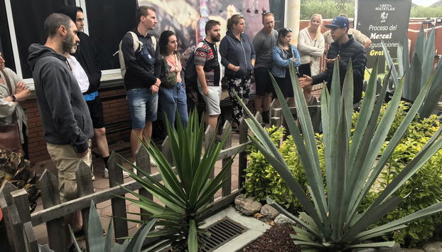 Mitla, Teotitlán del Valle y fábrica de Mezcal - Foto 5