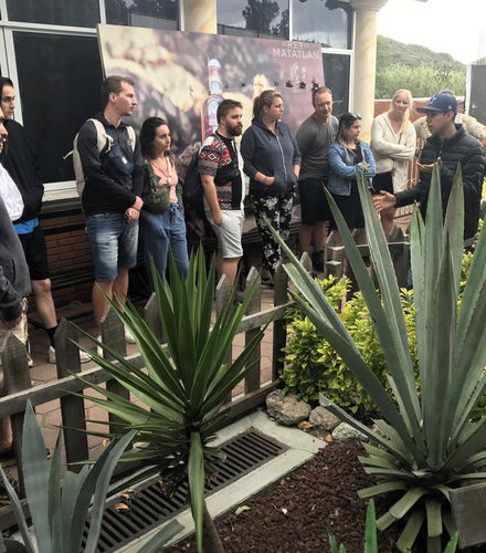 Photo – Excursion to Teotitlán del Valle, Mitla &amp; Mezcal Distillery