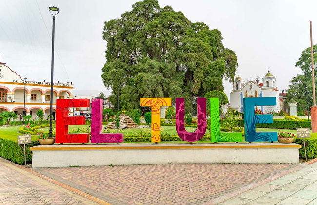 Excursion to Teotitlán del Valle, Mitla & Mezcal Distillery - Photo 6