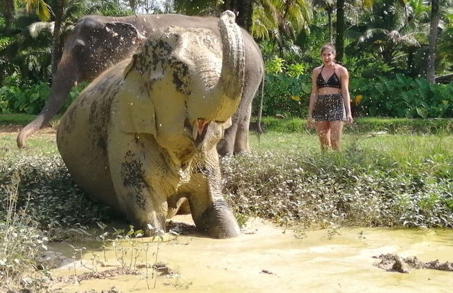 Escursione al santuario degli elefanti di Ao Nang - Foto 6