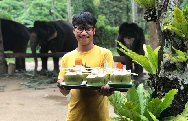 Escursione al santuario degli elefanti di Ao Nang - Foto 8