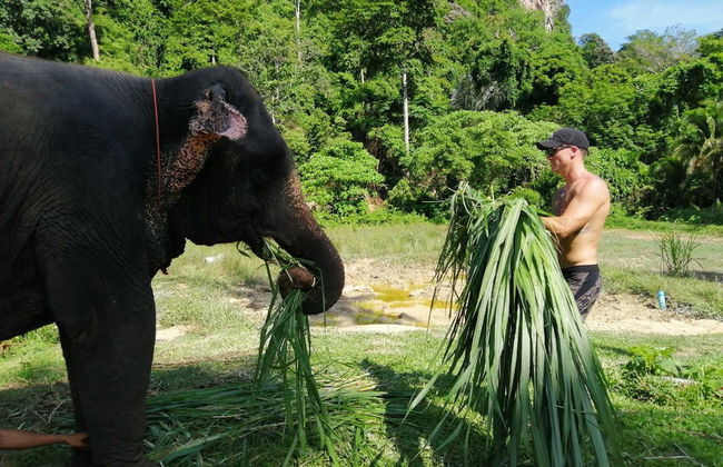 Escursione al santuario degli elefanti di Ao Nang - Foto 2