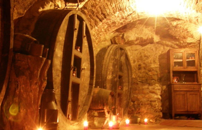 Aranda de Duero Underground Wine Cellar Tour - Foto 8