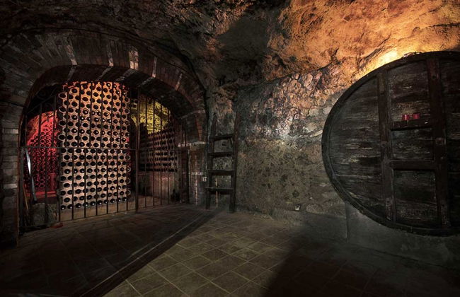 Aranda de Duero Underground Wine Cellar Tour - Foto 5