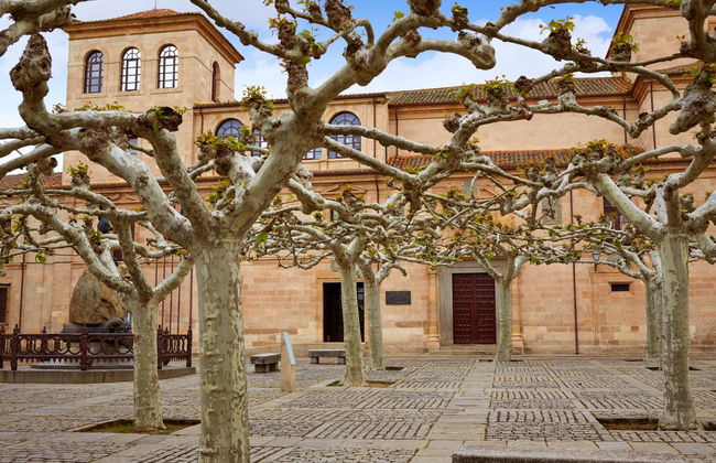 Zamora Private Tour - Photo 6