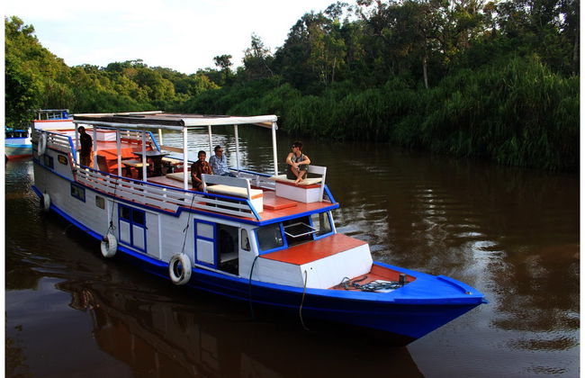 Crucero privado por Borneo con avistamiento de orangutanes en barco superior - Foto 3