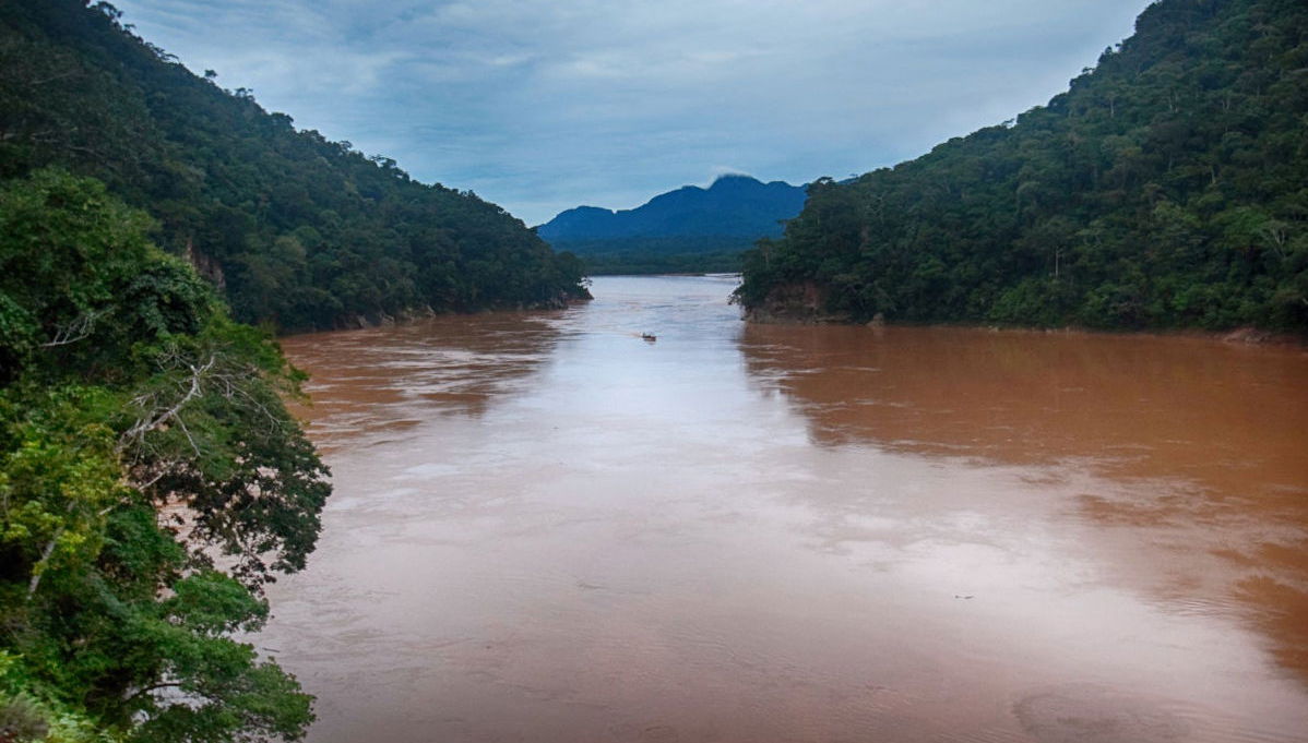 Madidi Park and Yacuma Pampas 5 day Trip - Photo 1