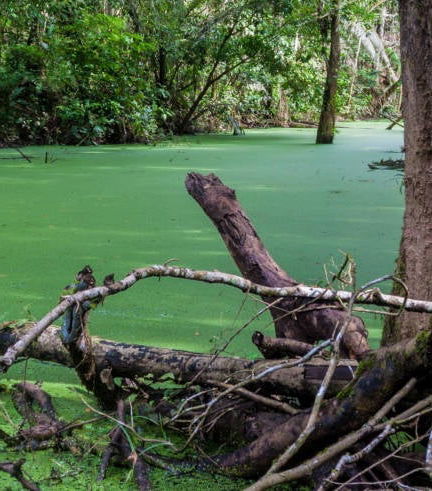 Foto de Parque Madidi y Pampas del Yacuma en 5 días