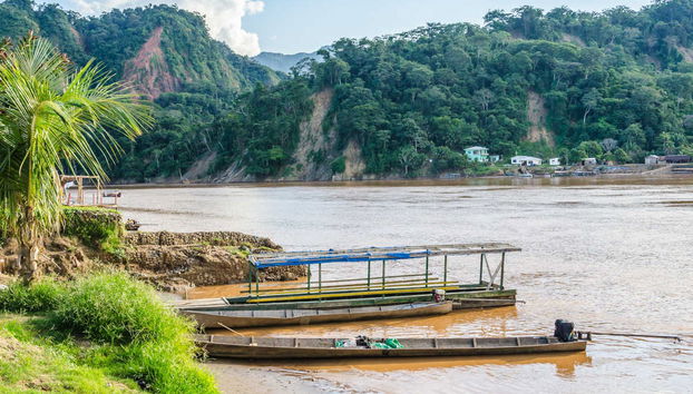 Madidi Park and Yacuma Pampas 5 day Trip - Photo 5