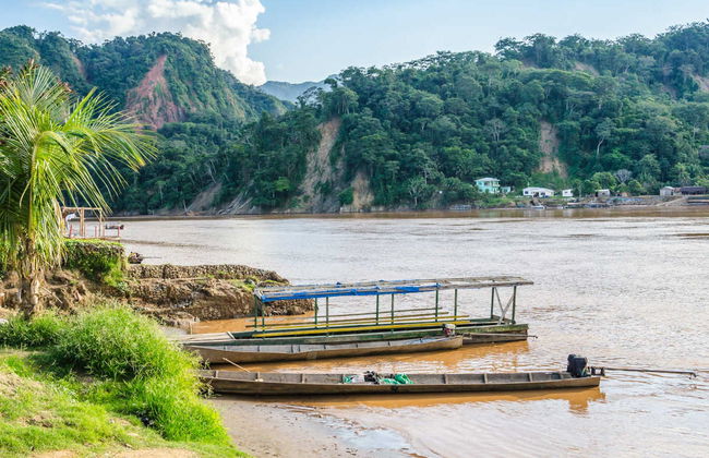 Madidi Park and Yacuma Pampas 5 day Trip - Photo 5